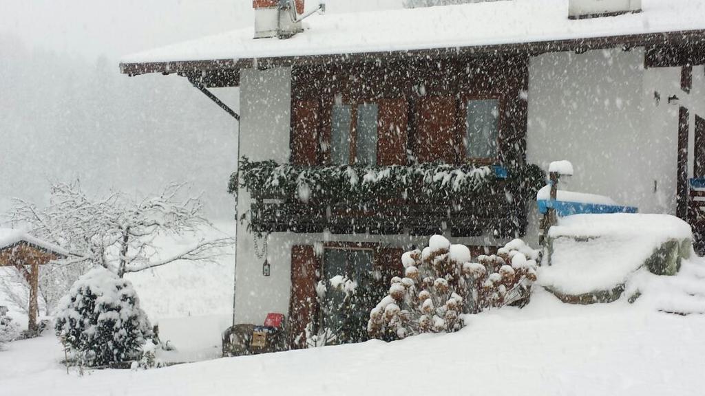 Chalet Monica Molina di Ledro Εξωτερικό φωτογραφία